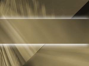 安全审计